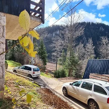Vjeverica * Jahorina