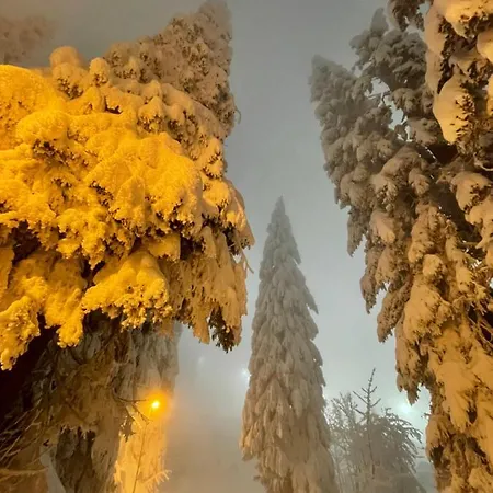 Vjeverica Chalet Jahorina